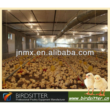 Ready Sale Automatische Huhn Geflügel Schuppen Design für Huhn und Masthähnchen